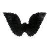 Lier - Carnaval - Halloween - angel - engel - duivel - vampier - zwarte vleugels