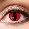 Lier - Carnaval - Halloween - contactlenzen - kleurlens - party lens - gekleurde lenzen - kattenoog - slangenoog - eye - rood