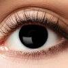 Lier - Carnaval - Halloween - contactlenzen - kleurlenzen - gekleurde lenzen - sterktelens - zwart oog - black eye -