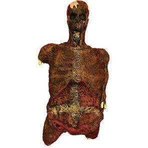griezelen - sarcofaag - mummie - egypte - Halloween decoratie - accessoire - Lier - griezelige mummy