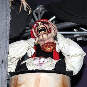 Halloween Decoratie - Lier - staande griezel - piraten - afgehakt hoofd - enge griezel - ingewanden