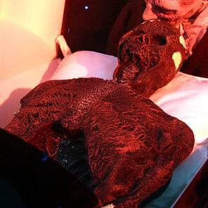 griezelen - sarcofaag - mummie - egypte - Halloween decoratie - accessoire - Lier - griezelige mummy