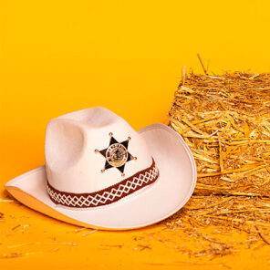 Lier - Carnaval - Western - cowboys - cowgirl - hoed - themafeest - western hoofddeksel - volwassenen - kinderen - white