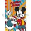 Lier - wenskaart - kaartje - kaartje sturen - cards - Disney - jarig - verjaardag - Donald Duck - muis - verjaardag