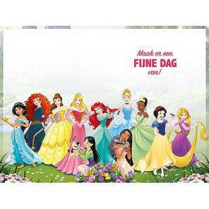 Lier - wenskaart - Disney - prinsessen - Belle - Assepoester - Doornroosje - Rapunzel - Jasmine - Ariel - Sneeuwwitje