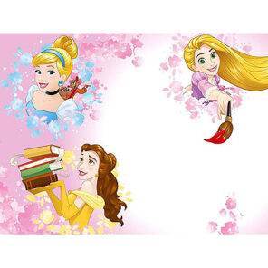 Lier - wenskaart - Disney - prinsessen - Belle - Assepoester - Doornroosje - Rapunzel - Sneeuwwitje - jarig - glitters - roze