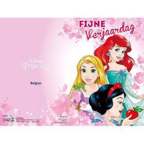 Lier - wenskaart - Disney - prinsessen - Belle - Assepoester - Doornroosje - Rapunzel - Sneeuwwitje - jarig - glitters - roze