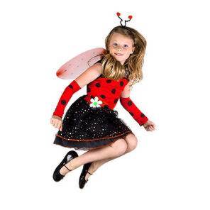Carnaval kostuum kind - Lier - verkleedkledij kinderen - dieren - Maya de Bij - insecten - Tales of Lady Bug - Miraculous -