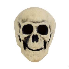 Halloween Decoratie - Lier - piraten - Halloween versiering - decor - lichtgevende ogen - skelet - schedel - skull