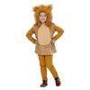 Carnaval kostuum kind - Lier - verkleedkledij kinderen - dieren - hoodie - peuter - kleuter - baby - lion king - poncho - jungle