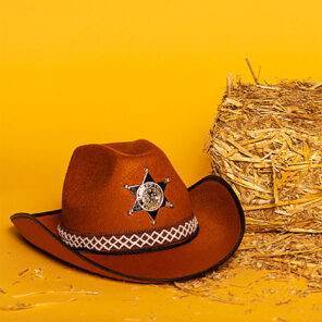 Lier - Carnaval - Western - cowboys - cowgirl - hoed - themafeest - western hoofddeksel - volwassenen - kinderen - bruin