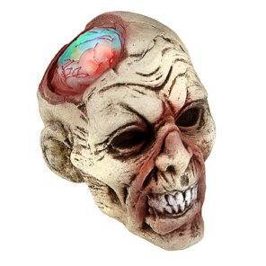 Lier - Fun - Shop - carnaval - halloween - decoreren - schedels - hersenen - lichtgevende decoratie - creepy - scary - horror
