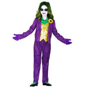 Lier - Fun - Shop - Carnaval - Halloween - the joker - pennywise - dc comics - batman - schurk - groen haar - psychopaat - film