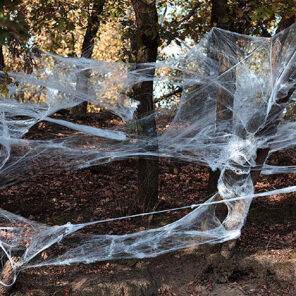 Lier - Fun - Shop - Carnaval - Halloween - spinnen - spinnrag - spinnenweb - webben - spidey - spiderman - dieren - decoratie
