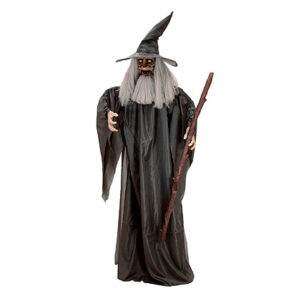 Lier - Fun - Shop - Halloween - Decoratie - Versiering - tovenaar - harry potter - wizard - goochelaar - oude man - toveren