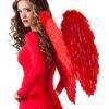 Lier - Fun - Shop - Halloween - Carnaval - wings - vleugels - veren - engel - angel - duivel - demon - vlinder - tommorowland