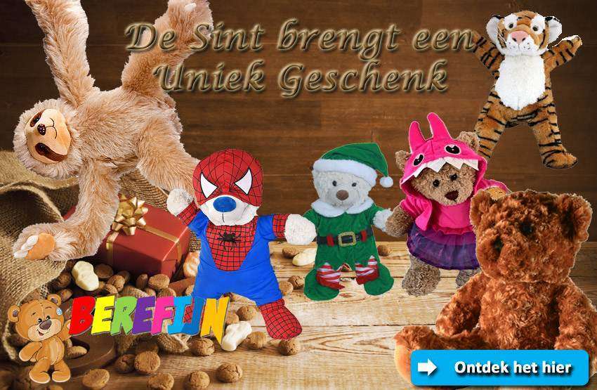 Lier - Berefijn - Build a Bear - knuffel - Sinterklaas - cadeau - uniek geschenk - prive moment - op afspraak - teddybeer - DIY