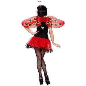 Lier - Fun - Shop - Carnaval - Feestwinkel - ladybug - vleugels - voelsprieten - bug - disney - cat noir - lieveheersbeestje