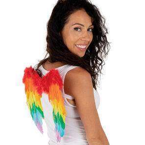 Lier - fun - shop - Feestwinkel - Carnaval - Halloween - wings - vleugel - duivel - gay pride - regenboog kleuren - engel