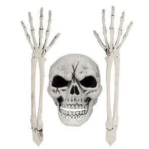 Lier - Fun - Shop - Carnaval - Halloween - Feestwinkel - decoratie - versiering - skelet tuin - begraven - graf - schedel