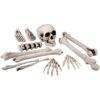 Lier - Fun - Shop - Carnaval - Halloween - Feestwinkel - decoratie - versiering - skelet - beenderen - begraven - botten - schedel