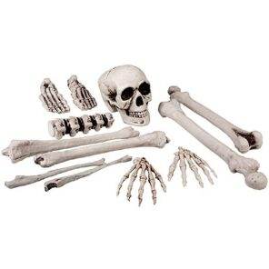 Lier - Fun - Shop - Carnaval - Halloween - Feestwinkel - decoratie - versiering - skelet - beenderen - begraven - botten - schedel