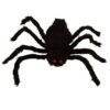Lier - Fun - Shop - Halloween - Carnaval - decoratie - versiering - spinnen - spider - beweging - kruipende spin